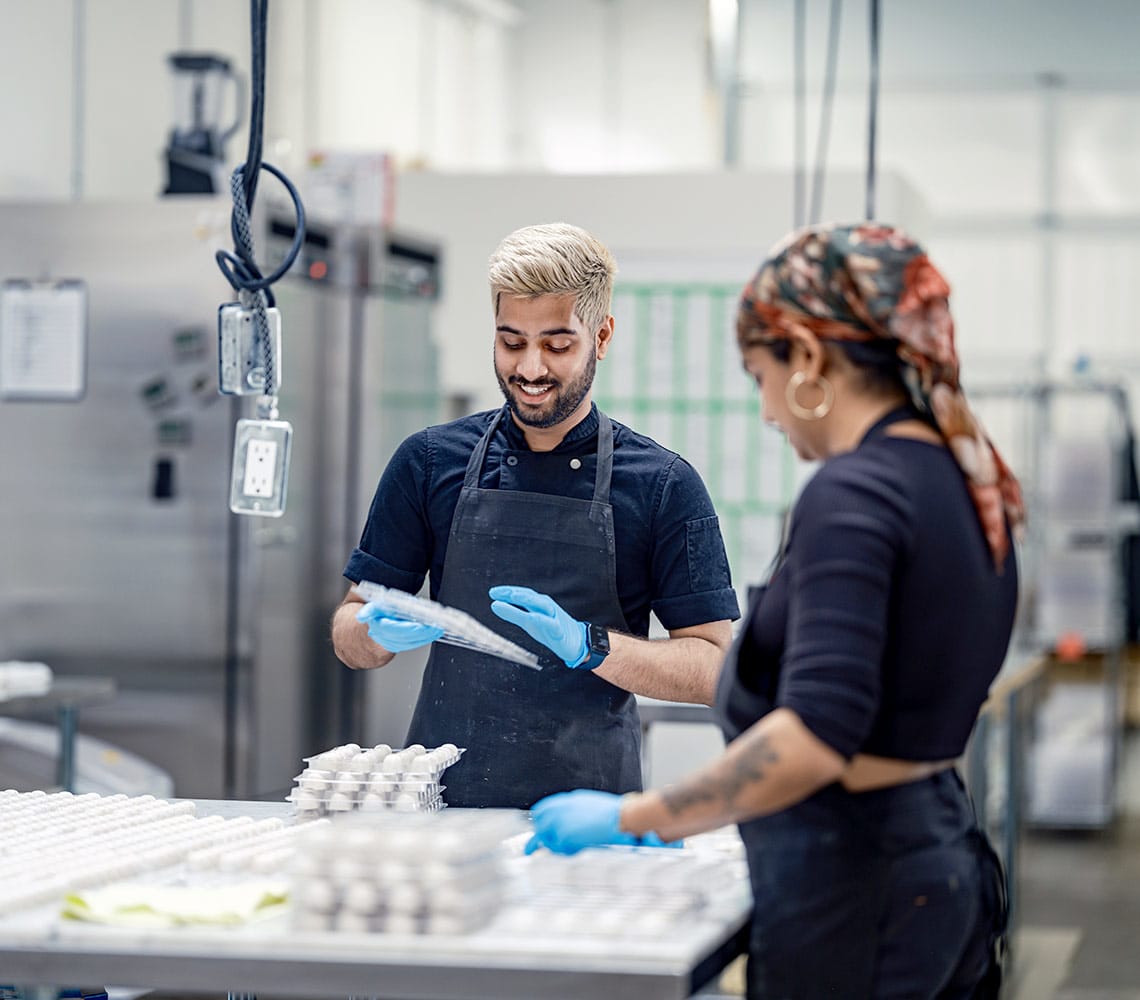 Two workers in a factory packing boxes of eggs on a production line.